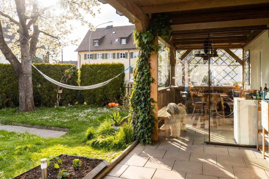 Ferienwohnung Hierke ハルト エクステリア 写真